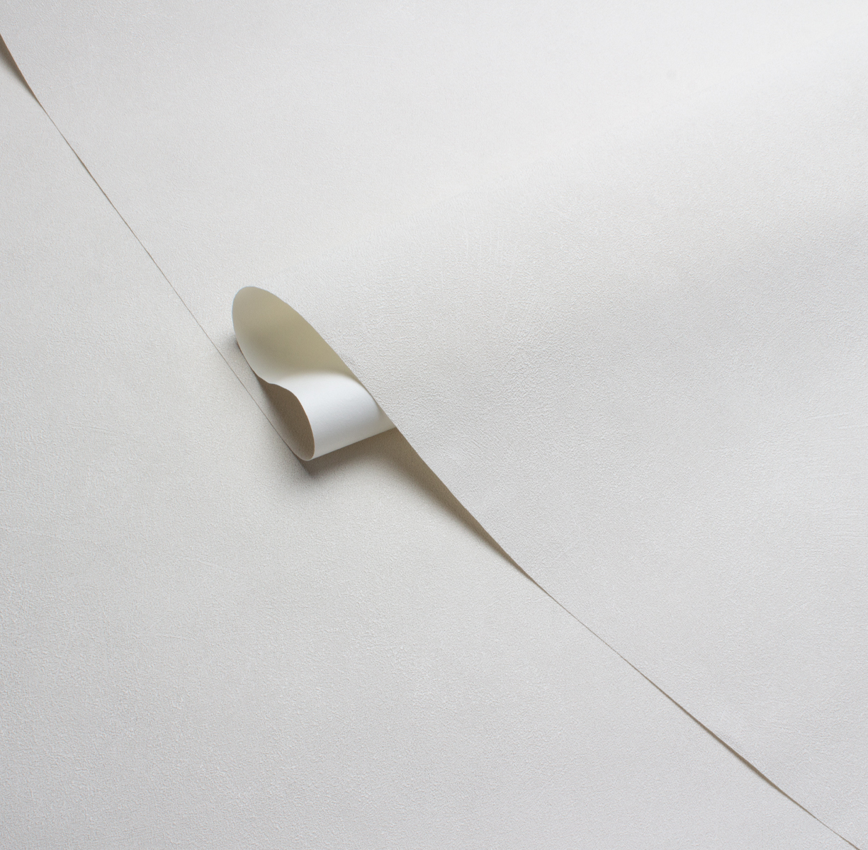 Фон MAGNOLIA 585111 - Текстура - фото 2