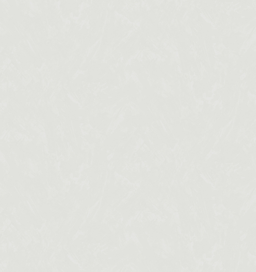 Фон SHAKIRA 589203