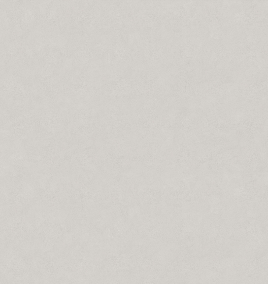 Фон MAGNOLIA 585116